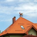 Kogut pogodowy róża wiatrów wskaźnik kierunków wiatru PROGARDEN 339349