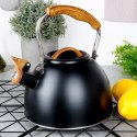 Czajnik z gwizdkiem stalowy na gaz indukcja czarny 2.5L VILDE 199068