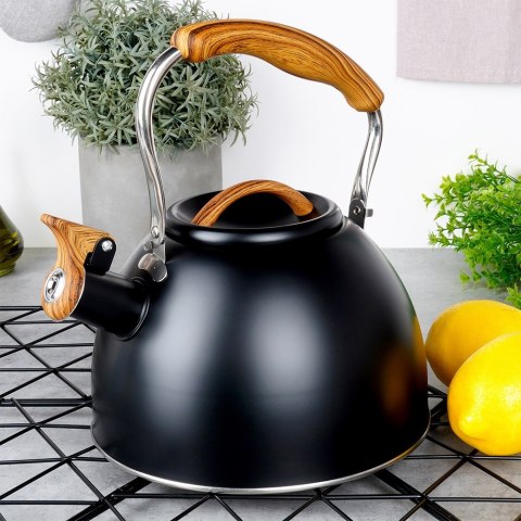 Czajnik z gwizdkiem stalowy na gaz indukcja czarny 2.5L VILDE 199068