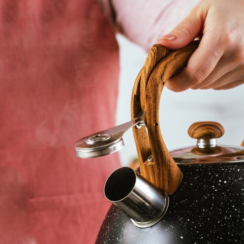 Czajnik z gwizdkiem stalowy na gaz indukcja czarny NATURE 3L NAVA 10-175-030