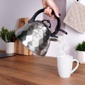 Czajnik z gwizdkiem stalowy na gaz indukcja srebrny 3.4L ORION 113516
