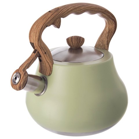 Czajnik z gwizdkiem stalowy na gaz indukcja zielony GREENISH 3L ORION 113522