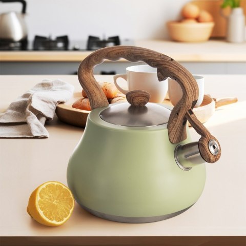 Czajnik z gwizdkiem stalowy na gaz indukcja zielony GREENISH 3L ORION 113522