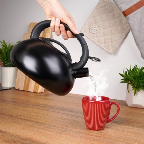 Czajnik z gwizdkiem stalowy na gaz indukcję czarny 3L VILDE 199012