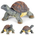 Figurka ogrodowa dekoracyjna dekoracja do ogrodu żółw 21x12cm PROGARDEN 339494