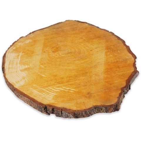 Podkładka plaster drewna 23-28cm VILDE 569893