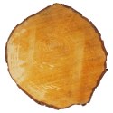 Podkładka plaster drewna 23-28cm VILDE 569893