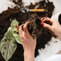 Narzędzia ogrodowe 3 ele. PROGARDEN 339032