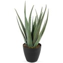 Sztuczna roślina w doniczce aloes 42cm VILDE 569447
