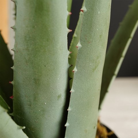 Sztuczna roślina w doniczce aloes 42cm VILDE 569447