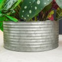 Sztuczna roślina w doniczce kompozycja 28cm VILDE 569455