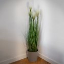 Sztuczna roślina w doniczce trawa kwitnąca pampasowa 103cm VILDE 569458