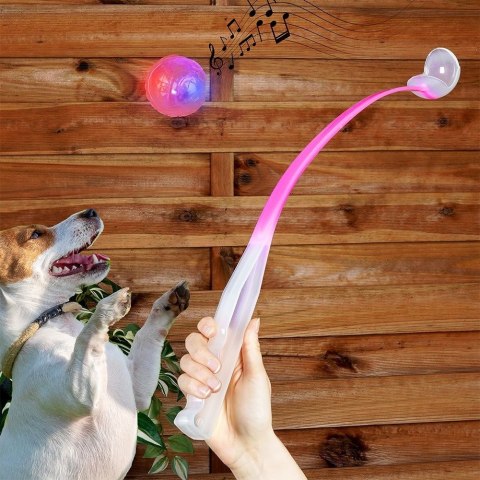 Miotacz piłki dla psa 68cm DOGS COLLECTION 449054