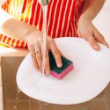Gąbka kuchenna do naczyń gąbki zestaw komplet gąbek 10 sztuk ULTRA CLEAN 779090