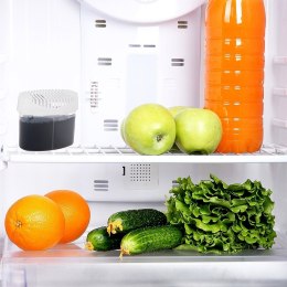 Pochłaniacz zapachów do lodówki duo cytrynowy ORION 832377