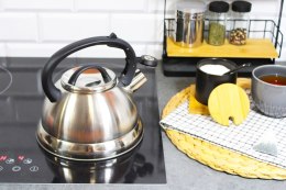 Czajnik stalowy z gwizdkiem 2.5L indukcja gaz tradycyjny srebrny BRUNBESTE BB-2272
