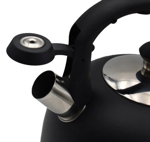 Czajnik na gaz i indukcję 2.5 L stalowy z gwizdkiem czarny BRUNBESTE BB-1336