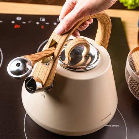 Czajnik stalowy z gwizdkiem 2,5 L beżowy, indukcja, KLAUSBERG KB-7950