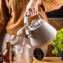 Czajnik stalowy z gwizdkiem 2,5 L szary mat, indukcja, KLAUSBERG KB-7949