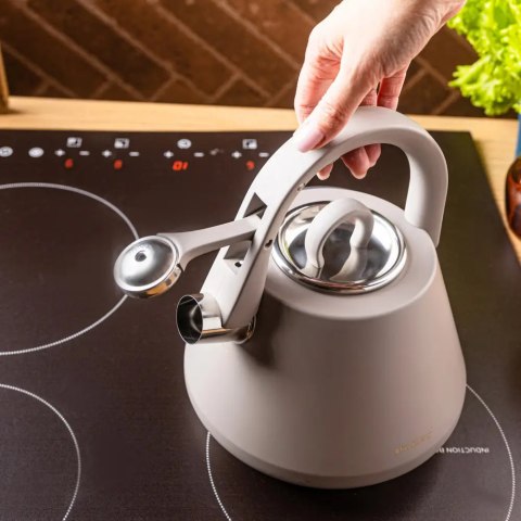 Czajnik stalowy z gwizdkiem 2,5 L szary mat, indukcja, KLAUSBERG KB-7949