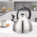 Czajnik stalowy z gwizdkiem na gaz indukcję 2.5L srebrny MAESTRO MR-1302