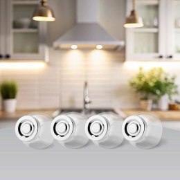 Zestaw 4 szklanych pojemników na przyprawy zioła 4 SZTUKI MAESTRO MR-5001-4S