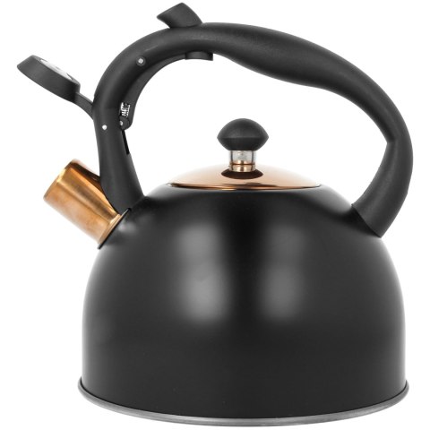 CZAJNIK STALOWY 2.5L INDUKCJA GAZ BRUNBESTE BB-2455 CZARNY ROSE GOLD CZAJNIK STALOWY 2.5L INDUKCJA GAZ BRUNBESTE BB-2455 CZARNY ROSE GOLD