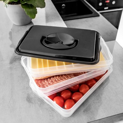 POJEMNIK NA WĘDLINY I SERY ORGANIZER DO LODÓWKI NA WĘDLINĘ SER 3-POZIOMOWY 3 X 600 ML VILDE 122617