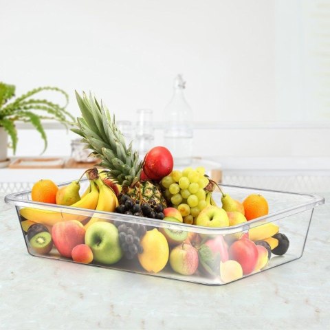 POJEMNIK ORGANIZER DO LODÓWKI 30X21X6.5CM 3L ORION 124007