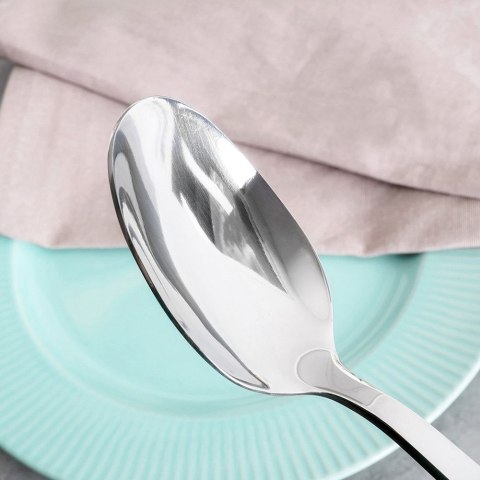 ŁYŻECZKA DO HERBATY STALOWA ZE STALI NIERDZEWNEJ ARYA NAVA 10-123-043