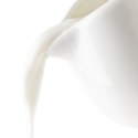 MLECZNIK PORCELANOWY BIAŁY DZBANUSZEK NA MLEKO SOS MONA 80ML ORION 155304