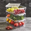 ORGANIZER DO LODÓWKI POJEMNIK Z POKRYWKĄ NA PRZYPRAWY PRODUKTY SPOŻYWCZE 32.5X20X10.5CM ORION 731634