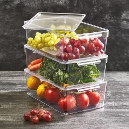 ORGANIZER DO LODÓWKI POJEMNIK Z POKRYWKĄ NA PRZYPRAWY PRODUKTY SPOŻYWCZE 32.5X20X10.5CM ORION 731634