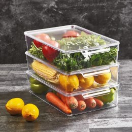 ORGANIZER DO LODÓWKI POJEMNIK Z POKRYWKĄ NA PRZYPRAWY PRODUKTY SPOŻYWCZE 32.5X20X7.5CM ORION 731633