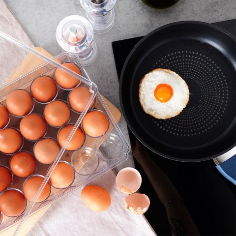 POJEMNIK NA JAJKA DO LODÓWKI Z POKRYWKĄ ORGANIZER NA 24 JAJKA VILDE 259634