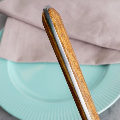 NÓŻ STOŁOWY OBIADOWY ZE STALI NIERDZEWNEJ ARIANA NAVA 10-123-032