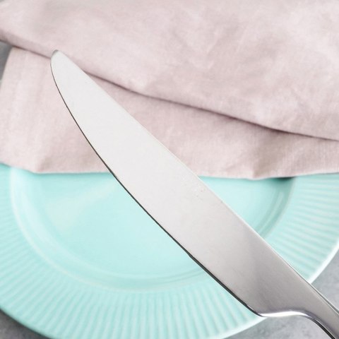 NÓŻ STOŁOWY OBIADOWY ZE STALI NIERDZEWNEJ ARYA NAVA 10-123-042