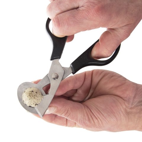Obcinacz do jajek stalowy nożyczki 14.5cm ORION 141421