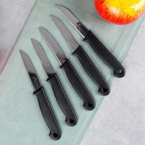 Zestaw noży do obierania warzyw 5-ele noże kuchenne stalowy EXCELLENT HOUSEWARE 259405