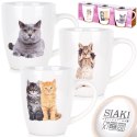 Kubki ceramiczne do kawy herbaty koty 220 ml zestaw kubków 3 sztuki EXCELLENT HOUSEWARE 139701