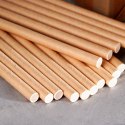 Słomki do picia napojów drinków papierowe jednorazowe 100 sztuk VILDE 259668