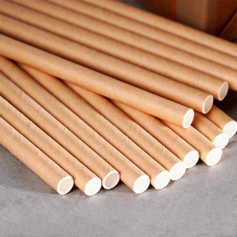 Słomki do picia napojów drinków papierowe jednorazowe 100 sztuk VILDE 259668