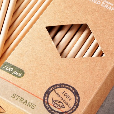 Słomki do picia napojów drinków papierowe jednorazowe 100 sztuk VILDE 259668