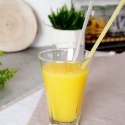 Słomki do picia napojów drinków proste rurki 50 SZT WIELORAZOWE VILDE 259247