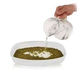 Pojemnik na kiełki nasiona zioła ORION 128394