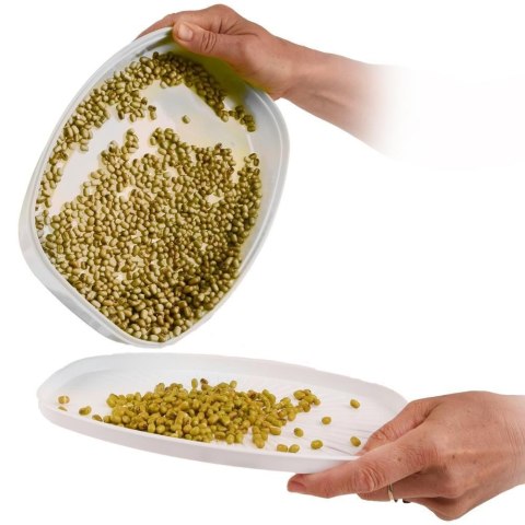 Pojemnik na kiełki nasiona zioła ORION 128394