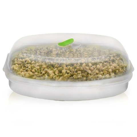Pojemnik na kiełki nasiona zioła ORION 128394