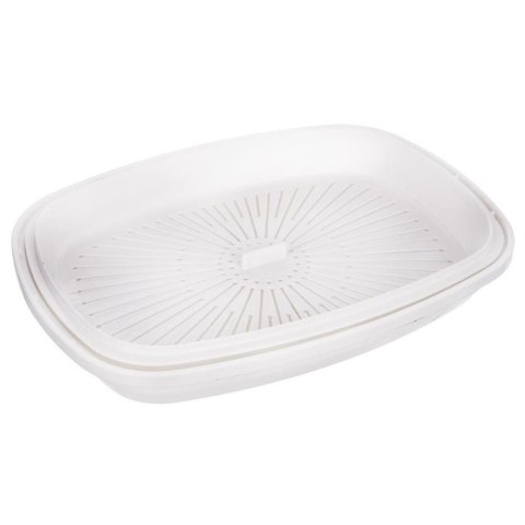 Pojemnik na kiełki nasiona zioła ORION 128394