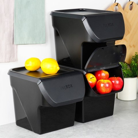 Pojemnik na warzywa i owoce ziemniaki cebulę z pokrywą czarny 13L VILDE 730510-C