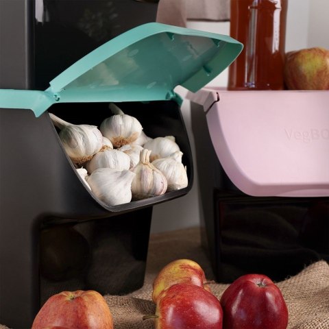 Pojemnik na warzywa i owoce ziemniaki cebulę z pokrywą miętowy 13L VILDE 730510-M